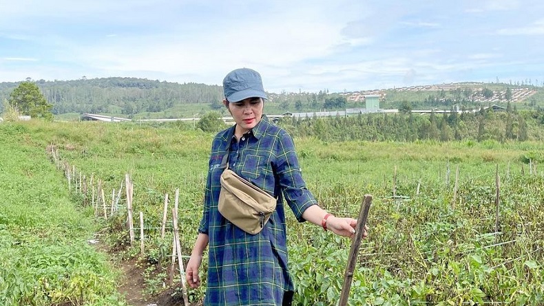 Kisah Inspiratif Petani Cantik asal Karo, Beli Mobil Impian Hasil Panen Cabai