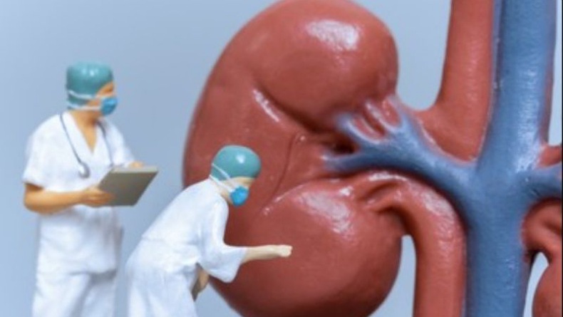 Mengenal Fomepizole, Obat Penawar Etilen Glikol yang Diduga Sebabkan Gangguan Ginjal Akut pada Anak