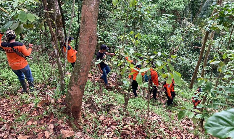 Diduga Tak Tahu Jalan, Kakek 70 Tahun Hilang di Perkebunan Perhutani