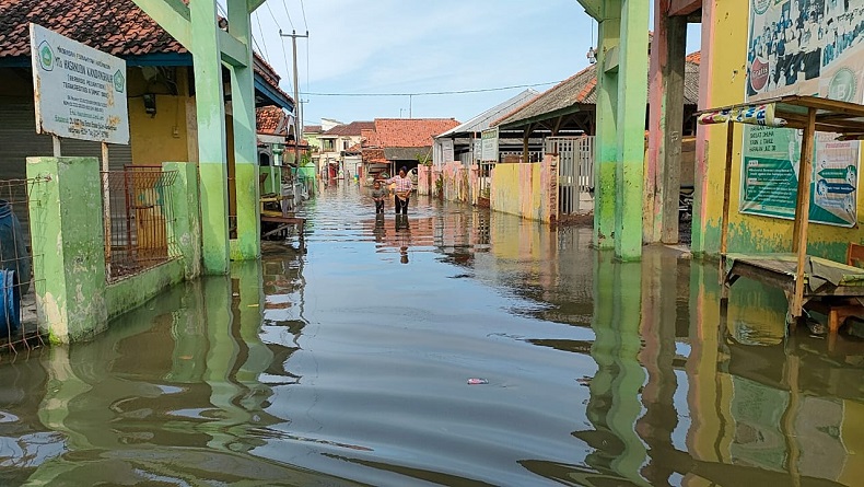 Banjir Rob Rendam Ribuan Rumah di Kandanghaur Indramayu