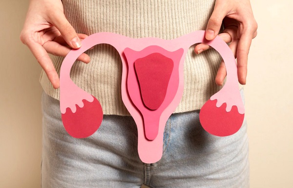Organ Reproduksi Wanita dan Fungsinya, Ini Bagian-bagiannya