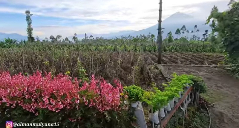 Desa Terpencil di Indonesia dengan Pemandangan Indah, Ternyata Semua Warganya Keturunan Belanda 