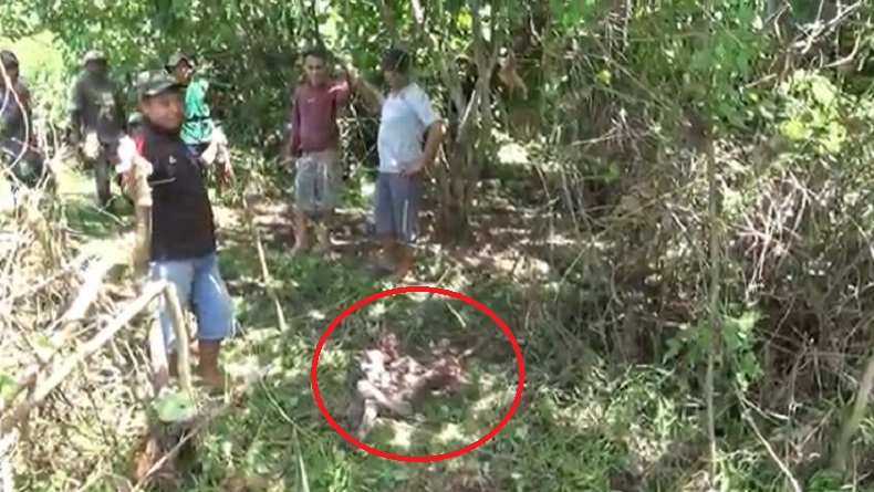 Ternak Hilang, Warga Maros Temukan Sapi Miliknya Telah Disembelih