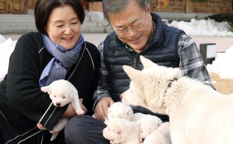 Mantan Presiden Korsel Bakal Serahkan 2 Anjing Hadiah Kim Jong Un terkait Biaya Perawatan 