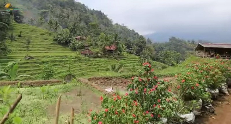 Viral Desa Paling Indah di Indonesia Letaknya Terujung di Atas Gunung, Hidup Apa Adanya 