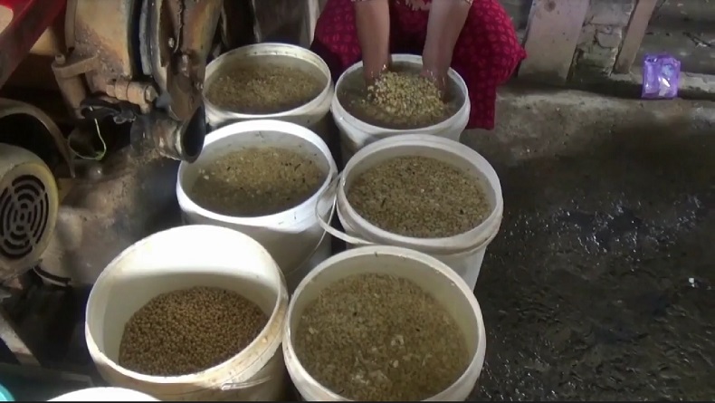 Harga Kedelai Hampir Rp14.000 Per Kg, Puluhan Perajin Tahu Ledok di Bojonegoro Gulung Tikar