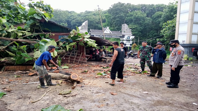 Rumah Hancur Tertimpa Pohon Tumbang di Cikalongkulon Cianjur, Penghuni Selamat