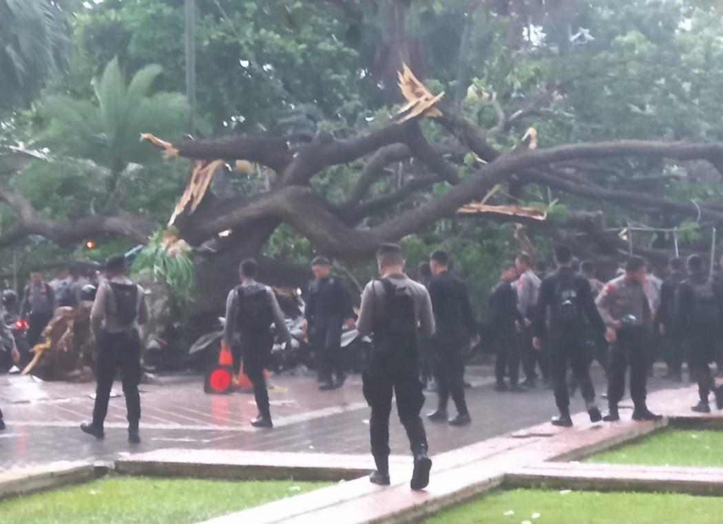 2 Anggota Polisi Tertimpa Pohon Tumbang di Balai Kota 
