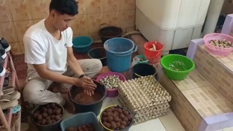 Pemuda di Tegal Inovasi Kuliner Telur Asin Burung Puyuh, Diberi Nama Ndoreng Sin