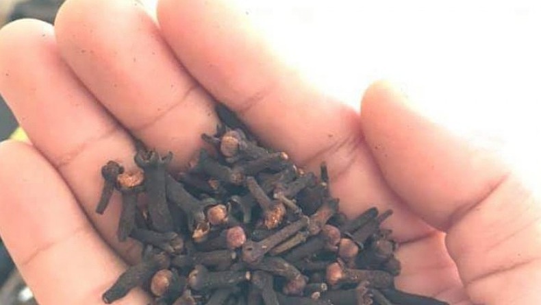 16 Cara Mengobati Gusi Bengkak dengan Bahan Alami, Pakai Cengkih hingga Bawang Putih