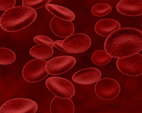 4 Perbedaan DNA dan RNA dalam Tubuh Manusia, Apa Saja?