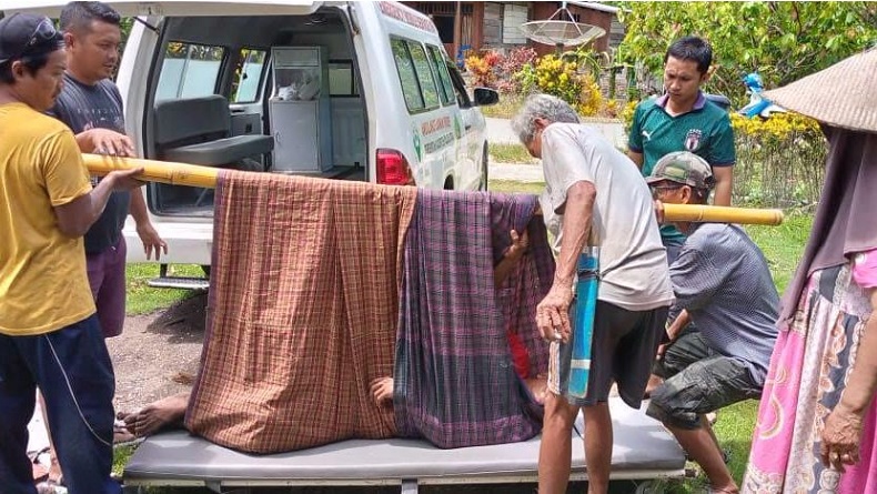 Ngeri, Pria di Kolaka Utara Kritis Jatuh dari Pohon Setinggi 7 Meter saat Petik Cengkih