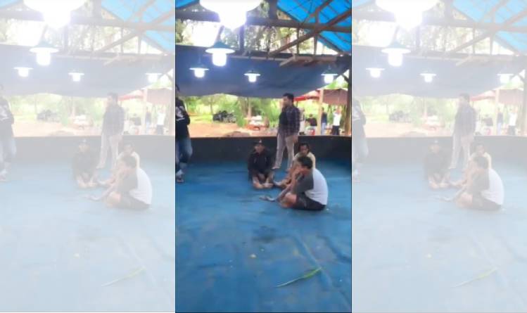 Viral Penggerebekan Judi Sabung Ayam di Blitar, Penonton Kocar-kacir Tinggalkan Arena
