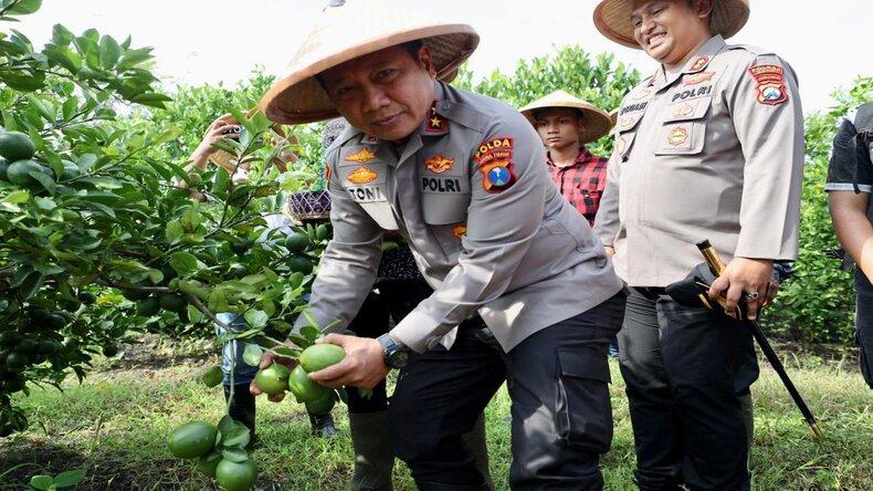 Dukung Ketahanan Pangan, Kapolda Jatim Gelar Panen Raya di Ngawi