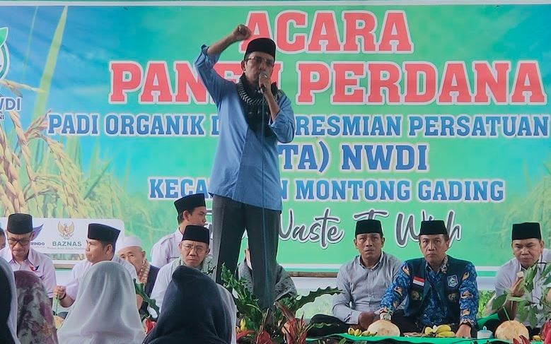 TGB Instruksikan Pengurus Perindo NTB Perbanyak Kegiatan untuk Masyarakat