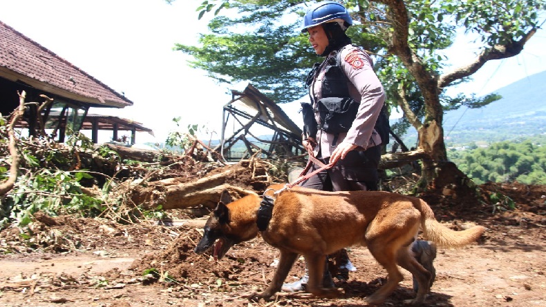 Mengenal Polwan Pawang K9 Polda Jabar Tak Kenal Lelah di Lokasi Gempa Cianjur