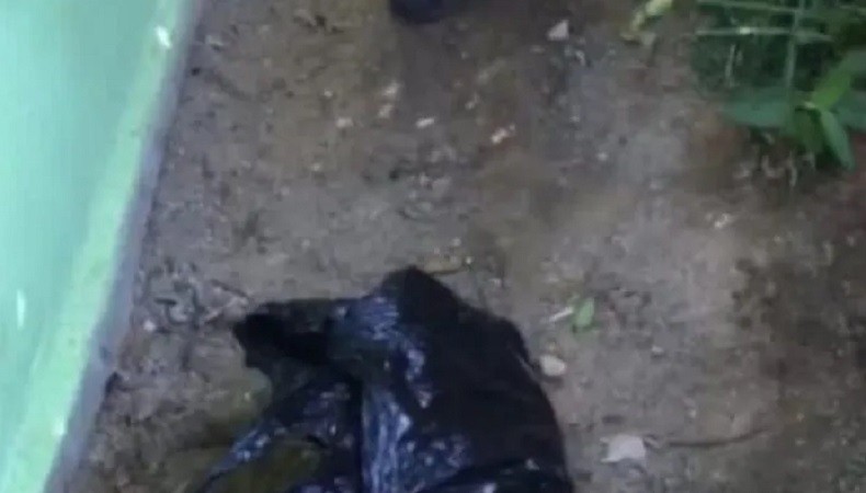 Geger Bayi Dibuang Dekat Sekolah di Sanggau, Terbungkus Kresek Hitam
