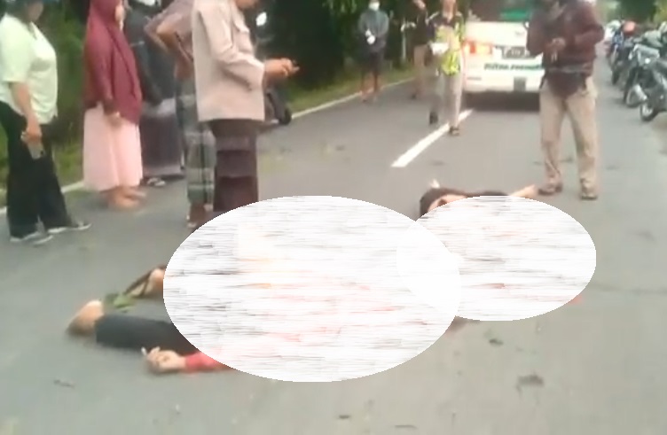 2 Pemotor Tewas usai Tabrak Pohon Tumbang di Jalan