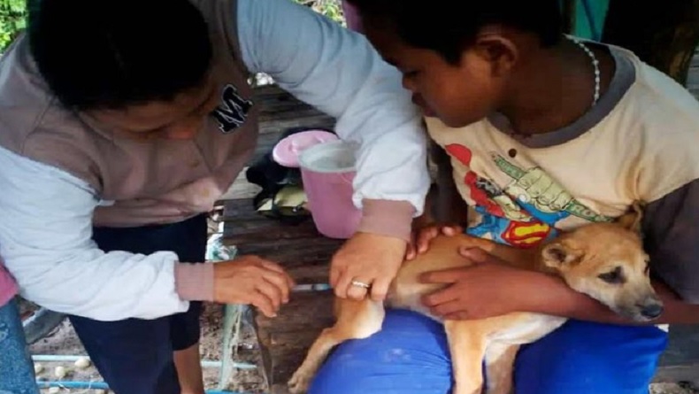 Kasus Warga Digigit Anjing Gila Jadi Perhatian Pemkab Barito Utara