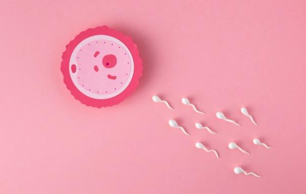 10 Cara Memperbaiki Kualitas Sperma Agar Cepat Hamil