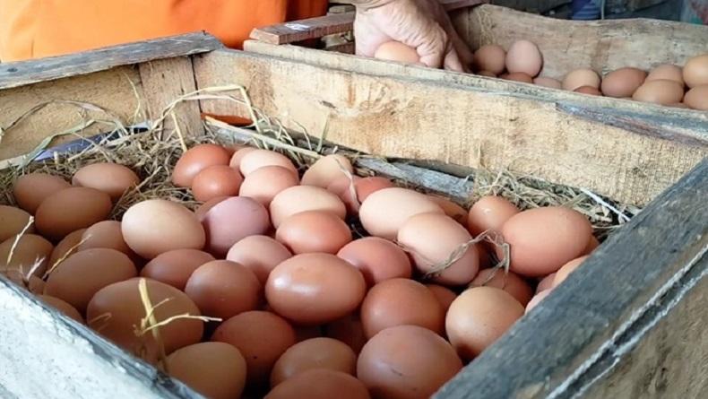 Waduh, Harga Telur di Purwakarta Meroket, Segini Kenaikannya