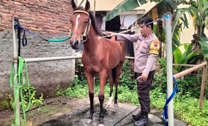 Sosok Aiptu Warsito, Bhabin Polresta Cilacap yang Jadi Kusir Kereta Kuda Kaesang Pangarep