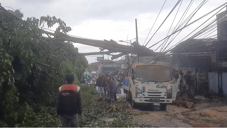 Pohon Tumbang Timpa Truk dan Warung di Bekasi akibat Hujan Disertai Angin Kencang