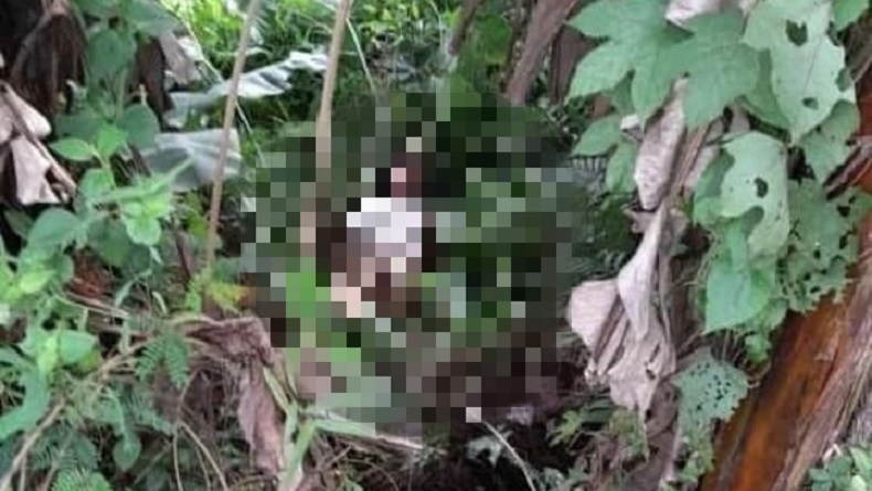 Remaja Perempuan Tergolek Lemas di Semak-Semak Wilayah Bogor, Ngaku Dibawa Kenalan dari Medsos