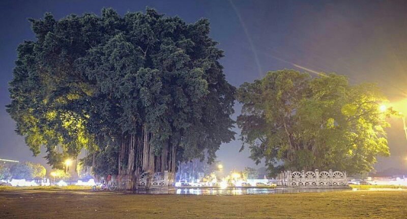 Liburan ke Yogyakarta, Wisatawan Wajib Tahu Legenda Beringin Kembar Alun-Alun Kidul 