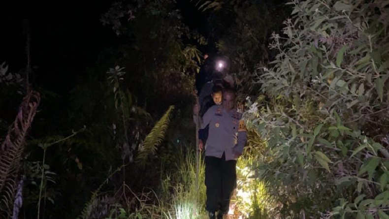 Puluhan Tanaman Ganja Ditemukan di Kebun Kopi Seluas 1 Hektare
