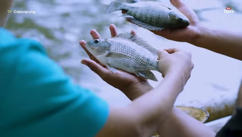 Fenomena Ikan Berterbangan ke Darat, Pemkot Jakut : Aman Dikonsumsi