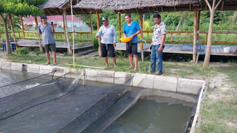 Top! Politikus Partai Perindo Palu Kembangkan Teknologi Bioflok Budidaya Ikan
