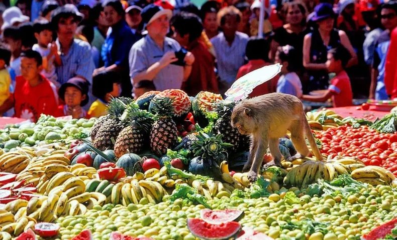 Mengenal Festival Makan All You Can Eat untuk Monyet di Thailand