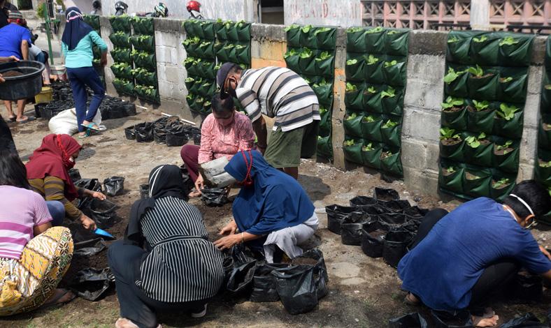 Pemkot Semarang Akan Masukkan Urban Farming ke Kurikulum Merdeka, Ini Tujuannya