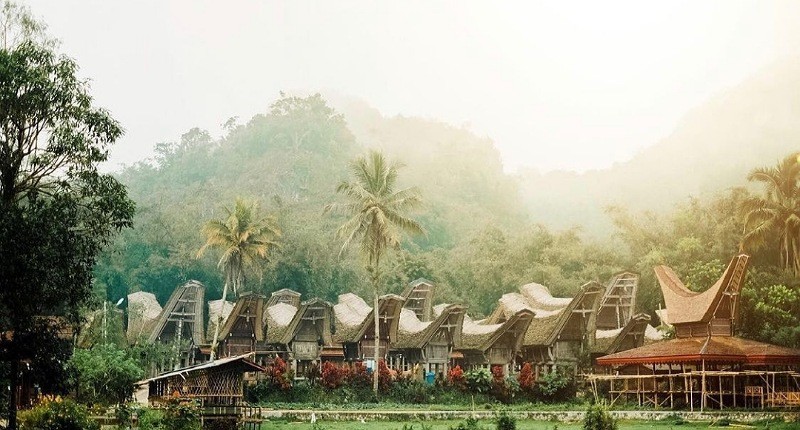 Kampung Unik di Toraja, Ada Desa Menakutkan dengan Banyak Kuburan di Tebing Batu