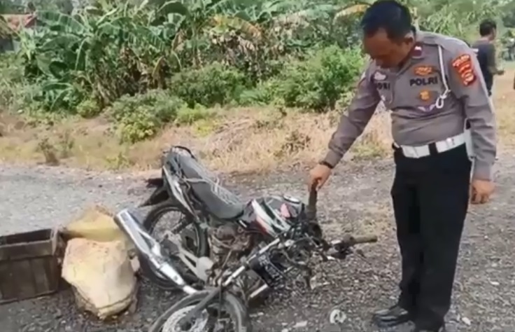 Kecelakaan Maut di Lampung, Mobil Tabrak Motor, 1 Orang Tewas