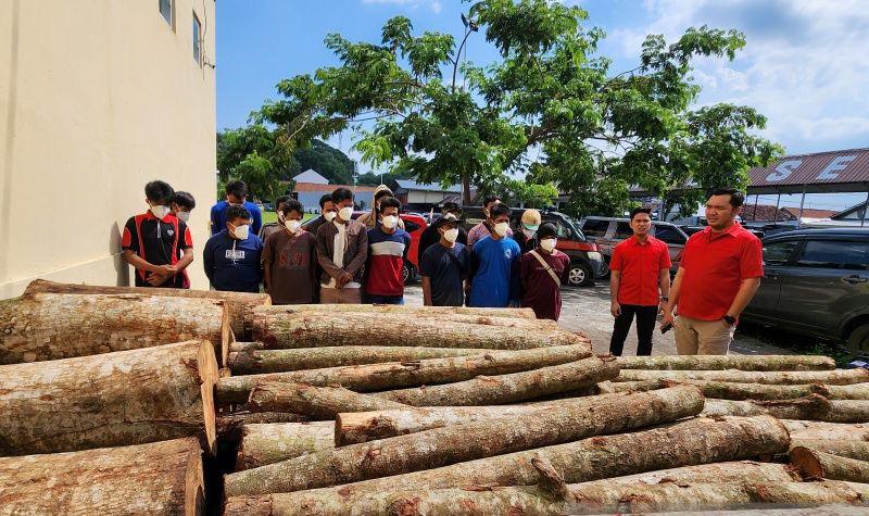 Polisi Tangkap 15 Pelaku Pembalakan Liar di Tepian Waduk Jatibarang Semarang, 1 Buron