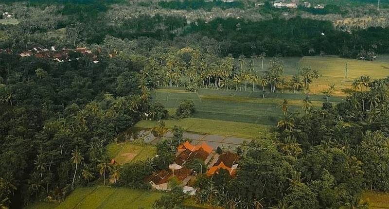 Kampung Unik di Banyuwangi, Singgah ke Desa yang Dihuni Suku Osing, Wajib Coba Kopinya! 