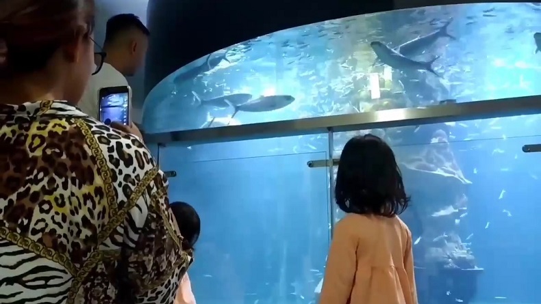 Akuarium Raksasa di Pangandaran Diserbu Wisatawan dari Berbagai Daerah 