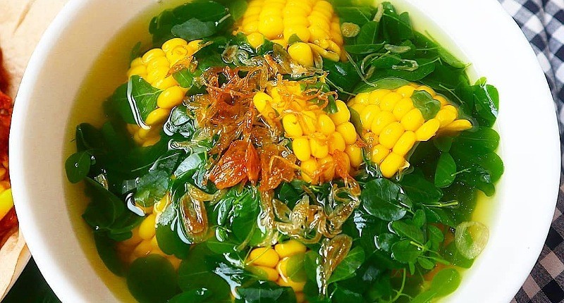 Cara Mengolah Daun Kelor yang Enak dan Segar, Bisa Bantu Atasi Kolesterol