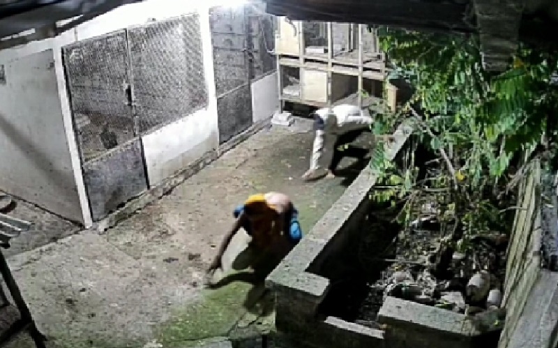Terekam CCTV, 3 Orang Curi 2 Tabung Gas hingga HP Warga Muaragembong Bekasi