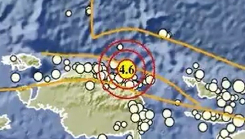 Pegunungan Arfak Papua Barat Diguncang Gempa Magnitudo 4,6