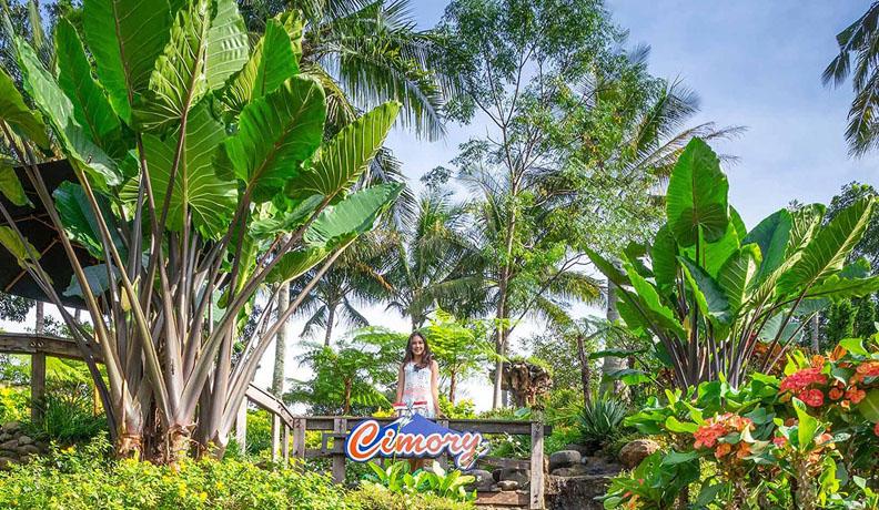 Harga Tiket Masuk Cimory On The Valley Terbaru 2023, Dari Rp15.000 hingga Rp35.000