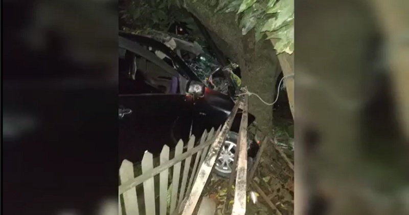 Minibus Tabrak Pohon Mangga di Pinrang, 4 Tewas, 3 Luka-luka