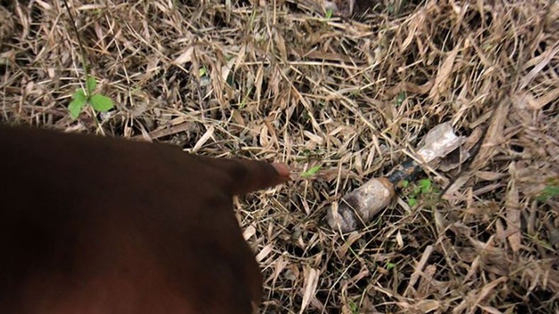 Petani Aceh Utara Temukan Benda Diduga Bom Sisa Konflik GAM, Gegana Turun Tangan