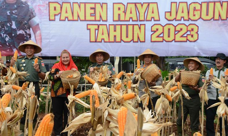  Kasdam IV/Diponegoro Panen 40 Ton Jagung di Lahan Latihan Militer Meteseh Semarang