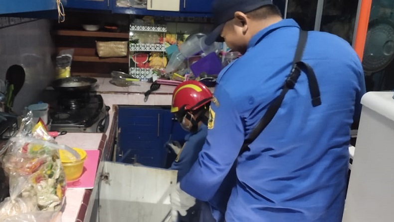 Seram, Warga Cibinong Temukan Ular Kobra di Dapur saat Mau Minum