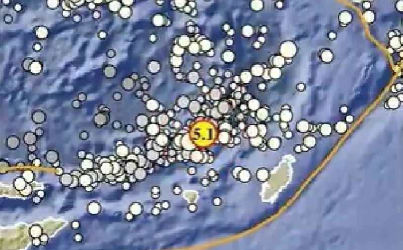 Gempa Terkini M5,1 Guncang Maluku, Tidak Berpotensi Tsunami
