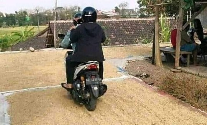 Tradisi Jemur Gabah di Jalan Aspal Panas Magetan, Kearifan Lokal yang Masih Bertahan 