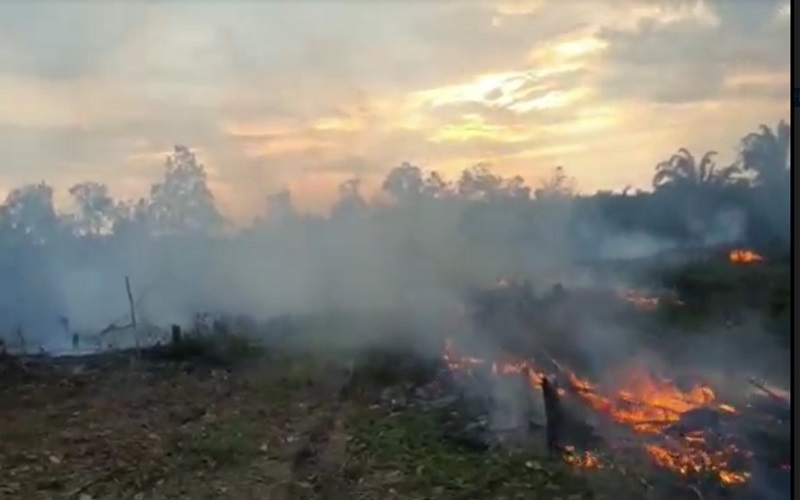  Petani di Muara Enim Ditangkap gegara Bakar Lahan untuk Berkebun